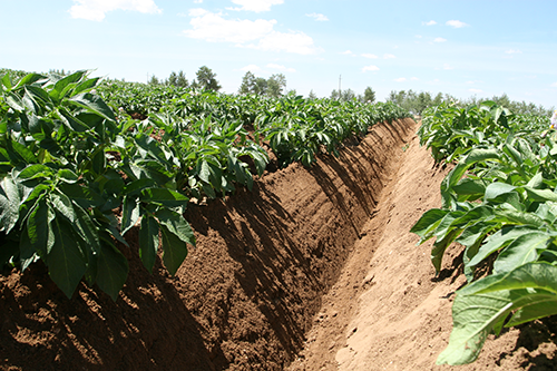 联系永利皇宫官网